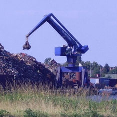 Bulk-handling crane