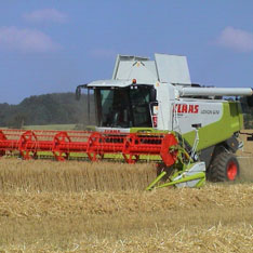 Combine harvester